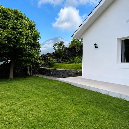 Villa Pico Island 20 - Private Pool, Sea & Pico View *